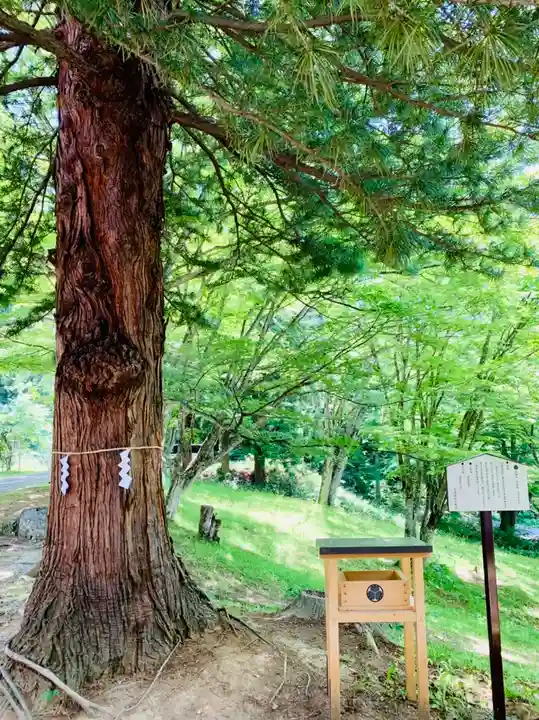 土津神社|こどもと出世の神さまの自然
