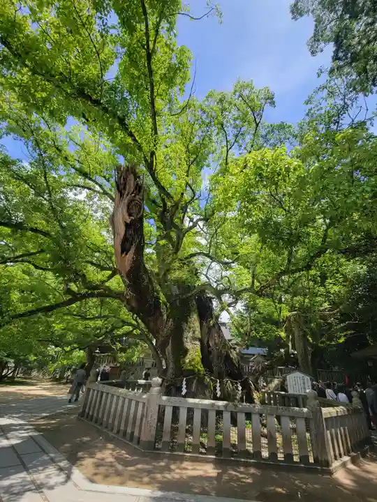 大山祇神社(愛媛県)