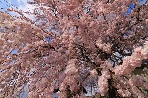 長興寺の庭園