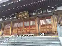 御誕生寺(猫寺)(福井県)