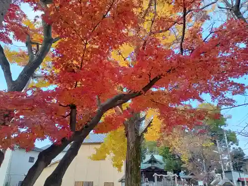堤根神社の自然