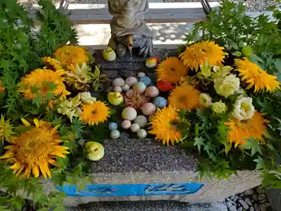 滑川神社 - 仕事と子どもの守り神の手水舎