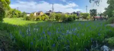 大田神社(賀茂別雷神社境外摂社)の自然