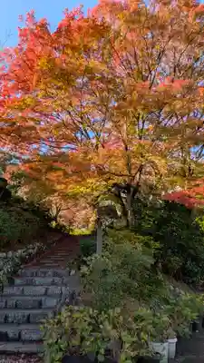 善峯寺(京都府)