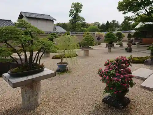 芳春院(京都府)