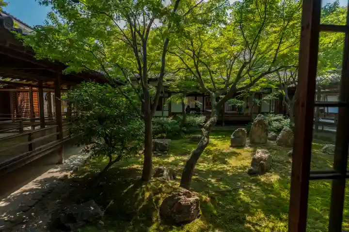 建仁寺(建仁禅寺)(京都府)