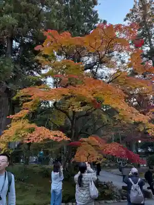 南禅寺(京都府)