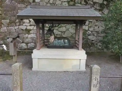 吉田神社の狛犬