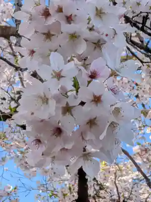 福蔵院(東京都)