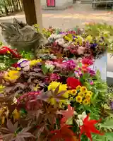 滑川神社 - 仕事と子どもの守り神の手水舎