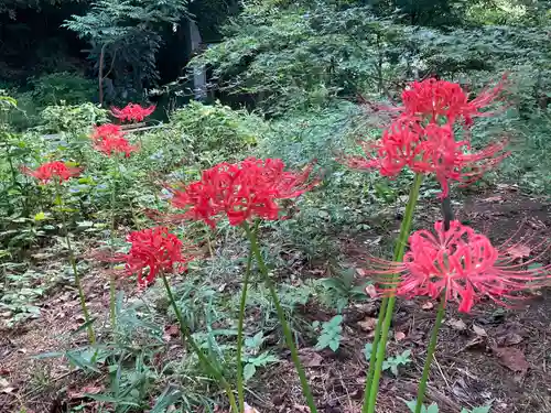 深大寺(東京都)