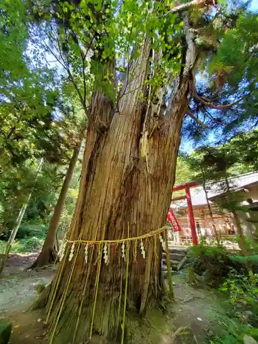 磐椅神社(福島県)