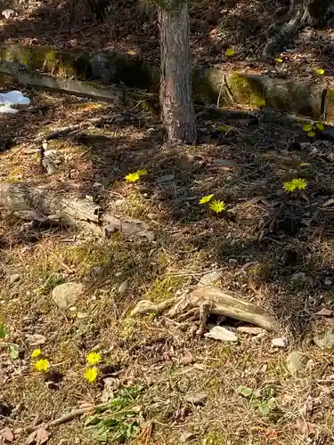 札内神社の自然