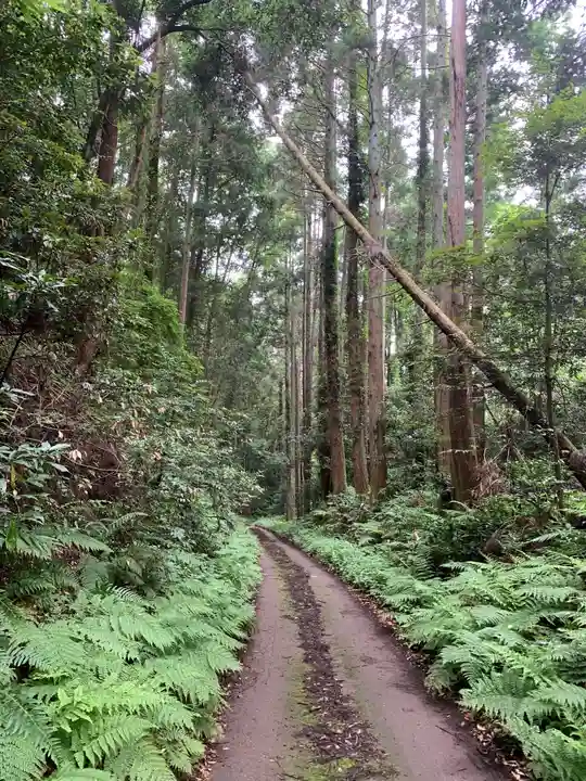 皇産靈神社の周辺