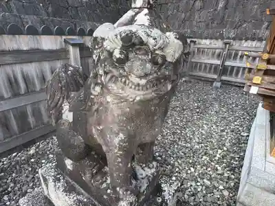 丹生川上神社(上社)の狛犬
