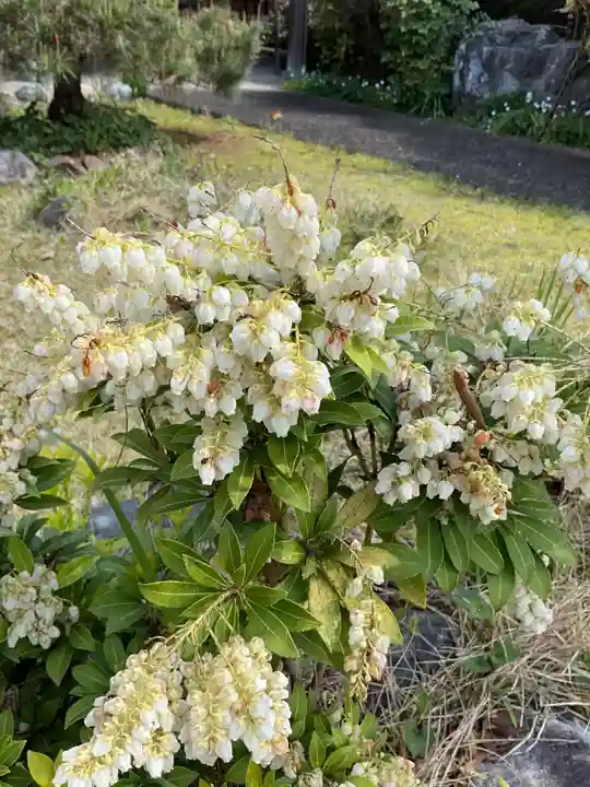 万尺寺(岐阜県)