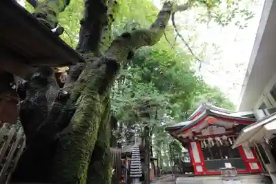 金刀比羅神社(東京都)
