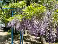 天満宮中之社(廃神社・石碑あり)(大阪府)