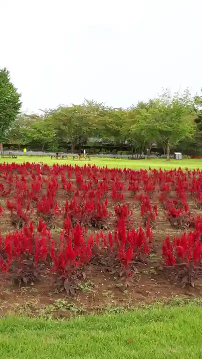 東本願寺本廟 牛久浄苑(牛久大仏)の庭園