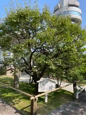 月照寺(兵庫県)