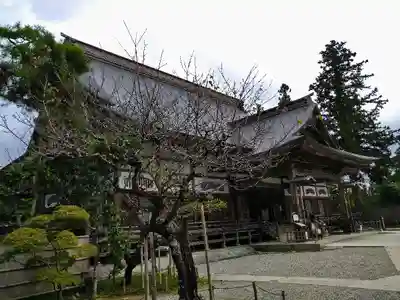 中尊寺の本殿・本堂