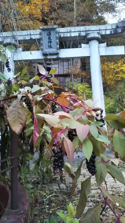 温泉神社の自然