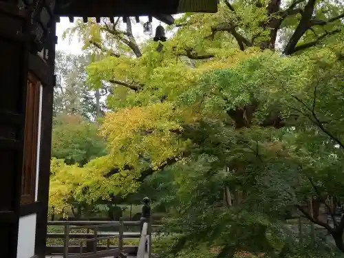 淨眞寺の庭園