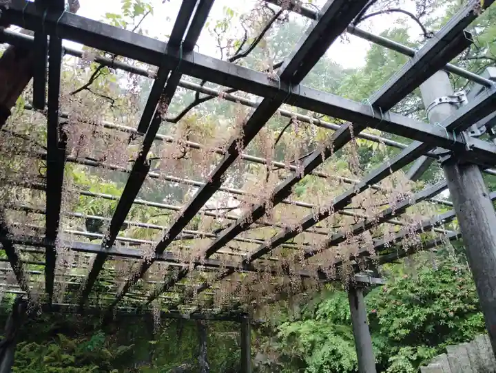 阿智神社の自然