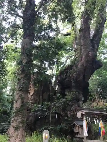 來宮神社のその他建物