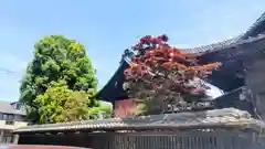 諏訪神社(群馬県)