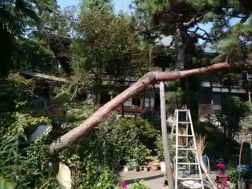 東昌寺(茨城県)