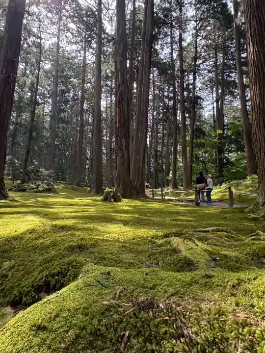 平泉寺白山神社(福井県)