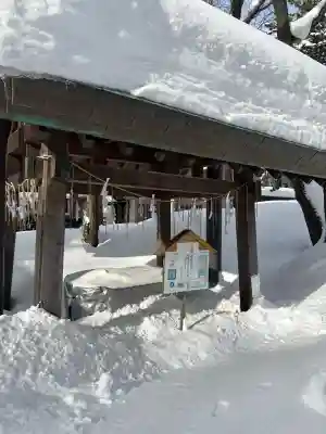 新琴似神社の{uncategorized: "未分類", other: "その他", undefined: "問題あり", building: "その他建物", grave: "お墓", sacred_gate: "鳥居", guardian: "狛犬", statue: "像", buddha: "仏像", history: "歴史", nature: "自然", garden: "庭園", animal: "動物", pagoda: "塔", temizu: "手水舎", mountain_gate: "山門・神門", sanctuary: "本殿・本堂", subordinate: "末社・摂社", art: "芸術", scenery: "景色", jizo: "地蔵", ema: "絵馬", goshuin: "御朱印", omikuji: "おみくじ", items: "授与品その他", amulet: "お守り", goshuincho: "御朱印帳", eats: "食事", festival: "お祭り", votive_dance: "神楽", shichigosan: "七五三参", wedding: "結婚式", experience: "体験その他", initially: "初詣", around: "周辺", anti_infection: "感染症対策"}