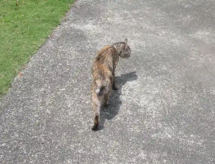 海善寺(静岡県)