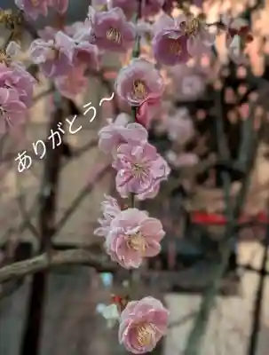 成願寺(東京都)