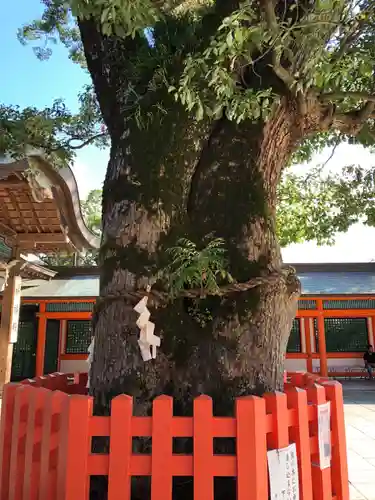 宇佐神宮の自然