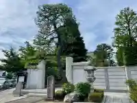 円光院(東京都)