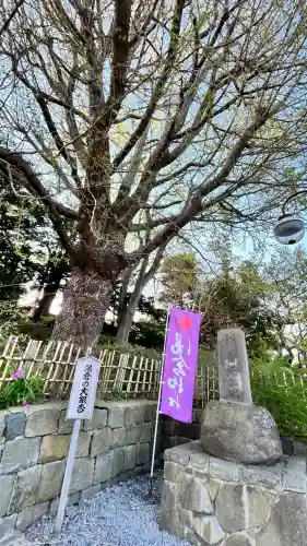 湯倉神社(北海道)