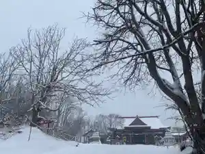 釧路一之宮 厳島神社の自然(2019年12月27日(金) 23時16分26秒投稿)