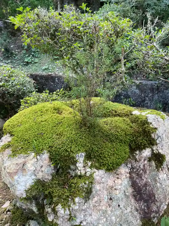 宝林寺(京都府)