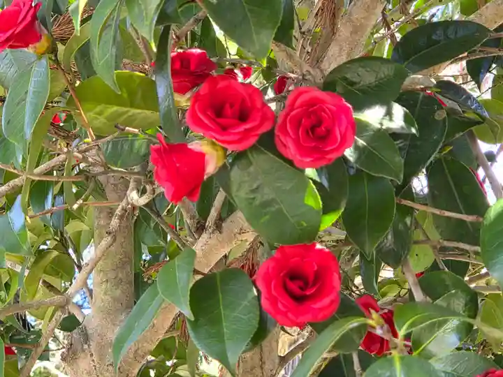 由加神社(和気由加神社)(岡山県)