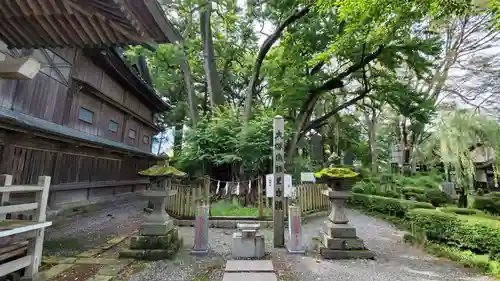 小室浅間神社の自然