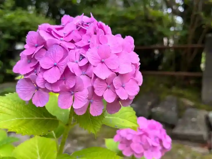伊勢の国 四天王寺(三重県)