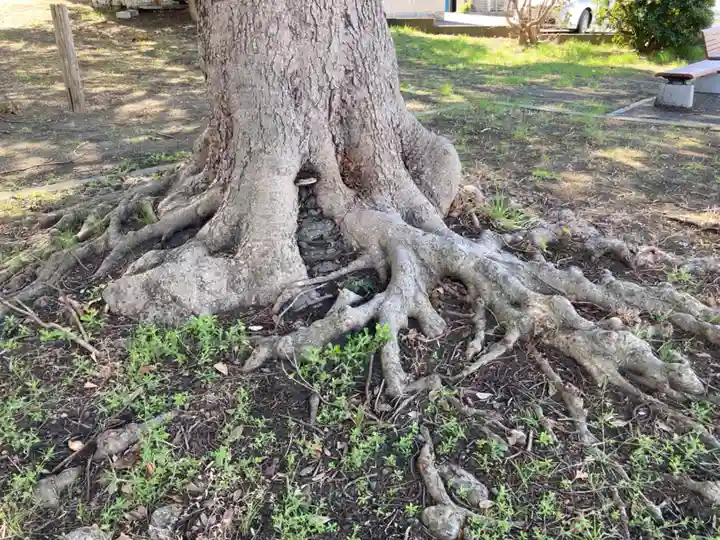 八坂神社(神奈川県)