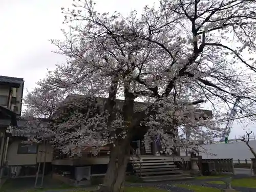 妙経寺(福井県)
