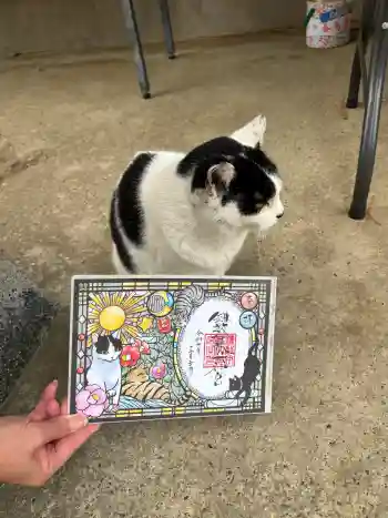 鎌数伊勢大神宮の御朱印 2025年12月