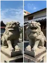 玄武神社の狛犬