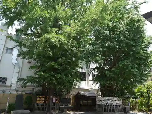 天祖神社の自然