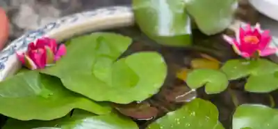 梅香寺(三重県)