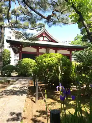 善明寺の庭園
